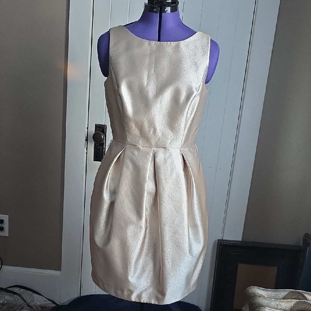 White House Black Market Shimmering Cream Sleeveless Dress